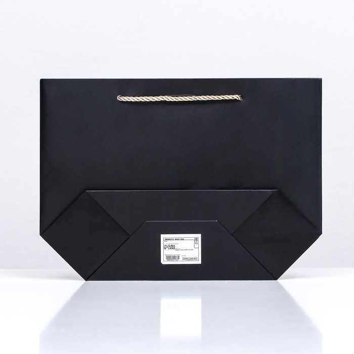 Пакет подарочный с лентой 19 х 20 х 9 см Пакет подарочный с лентой 19 х 20 х 9 см "Черный"