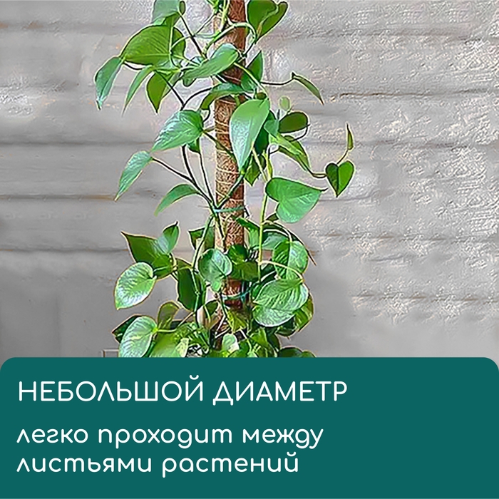 Опора для подвязки растений, h = 50 см, d = 5 см, кокосовая, Greengo Опора для подвязки растений, h = 50 см, d = 5 см, кокосовая, Greengo