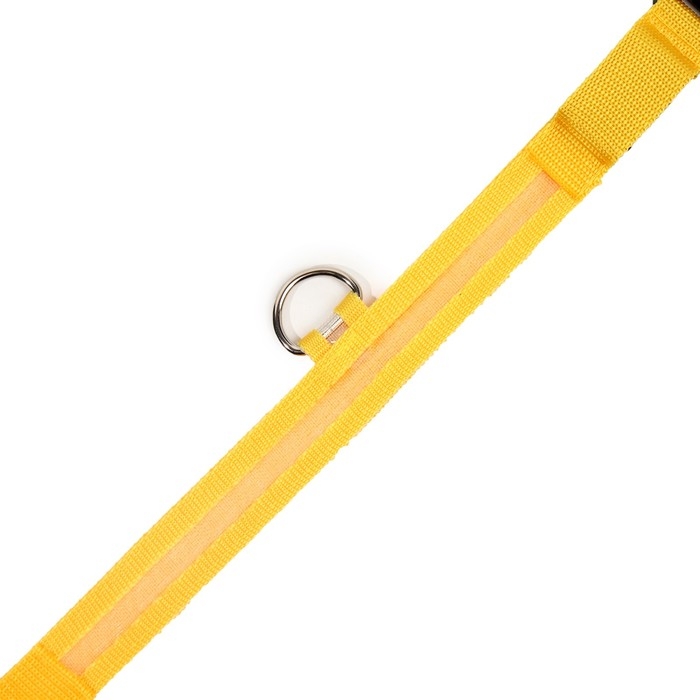 Ошейник с подсветкой размер XL,ОШ 52-60 х 2,5 см, 3 режима свечения жёлтый Ошейник с подсветкой размер XL,ОШ 52-60 х 2,5 см, 3 режима свечения жёлтый