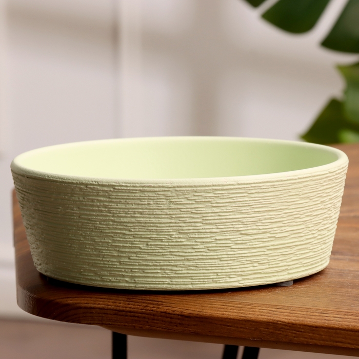 Кашпо Гнездо зеленое кактусница, 1 л, d - 19 см Кашпо Гнездо зеленое кактусница, 1 л, d - 19 см