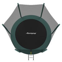 Батут ONLITOP, d=305 см, с лестницей, высота сетки 173 см, цвет зелёный