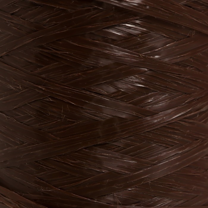 Пряжа Пряжа "Для вязания мочалок" 100% полипропилен 400м/100±10 гр в форме цилиндра (мол.шоколад)