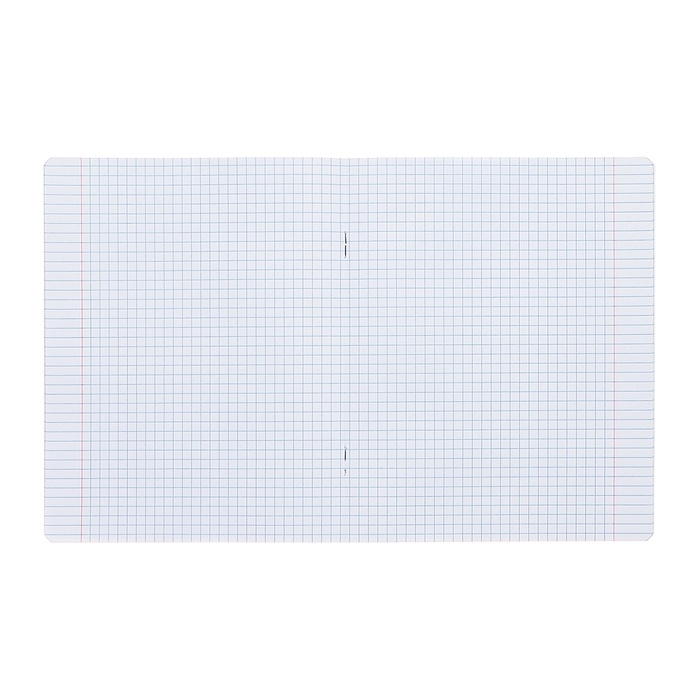 Комплект тетрадей из 10 штук, 12 листов в клетку Calligrata "Тигрёнок", обложка мелованный картон, ВД-лак, блок офсет, 5 видов по 2 штуки