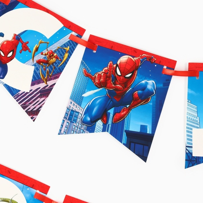 Гирлянда на ленте Гирлянда на ленте "С Днем Рождения", Человек-паук дл. 176 см