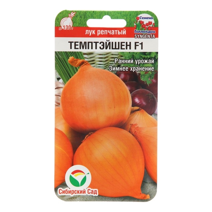Семена Лук репчатый  Семена Лук репчатый "Темптэйшен", F1, 100шт.