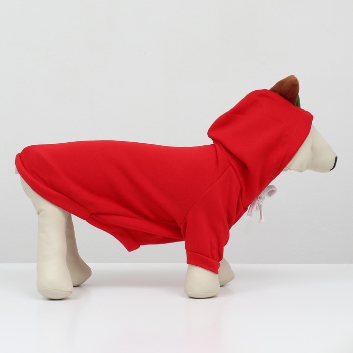 Толстовка "Яблочко", размер M (ДС 30, ОГ 44 см)