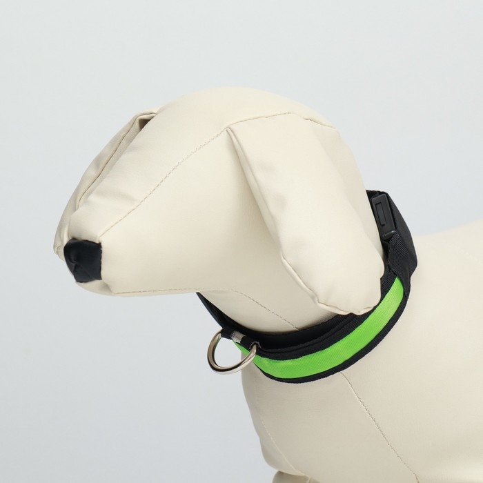 Ошейник с подсветкой Flash 3 режима свечения размер М, ОШ 40-48 х 2,5 см зелёный Ошейник с подсветкой Flash 3 режима свечения размер М, ОШ 40-48 х 2,5 см зелёный