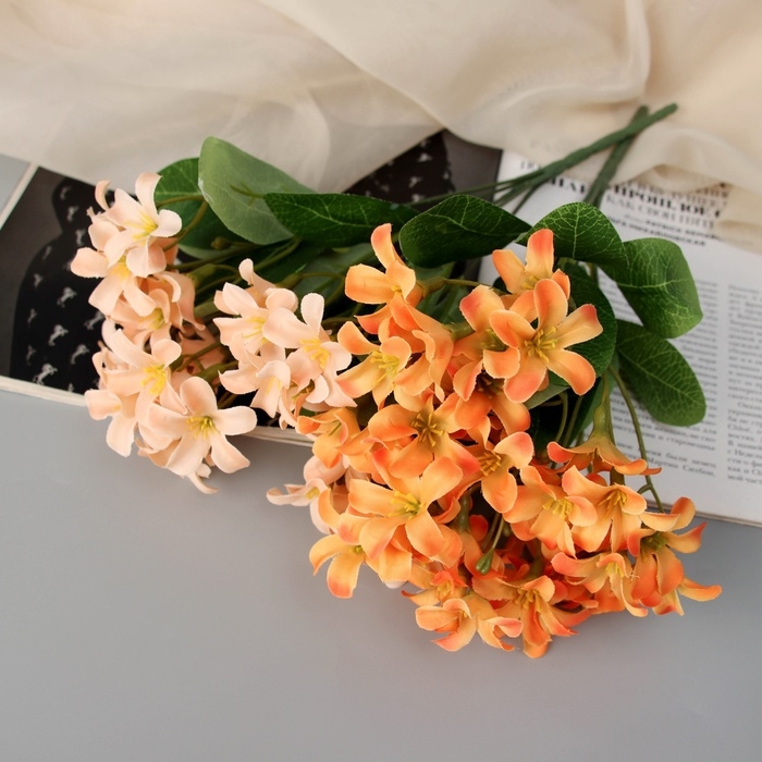 Букет Букет "Кампсис элит" 27 см, микс