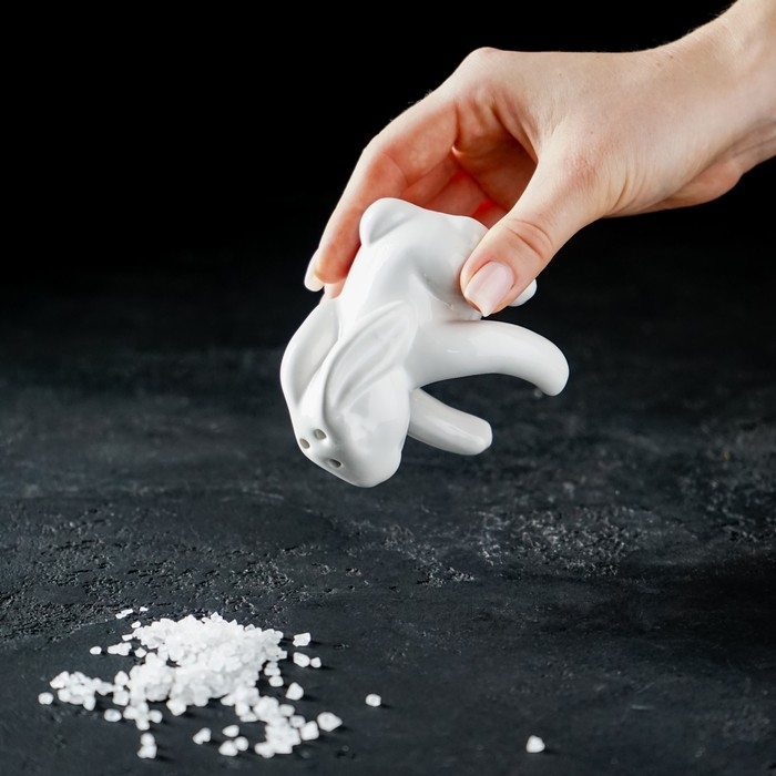 Набор для специй Доляна «Зайка», 2 предмета: солонка 50 мл, перечница 40 мл, цвет белый Набор для специй Доляна «Зайка», 2 предмета: солонка 50 мл, перечница 40 мл, цвет белый