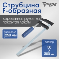 Струбцина F-образная ТУНДРА, 250 х 50 х 300 мм