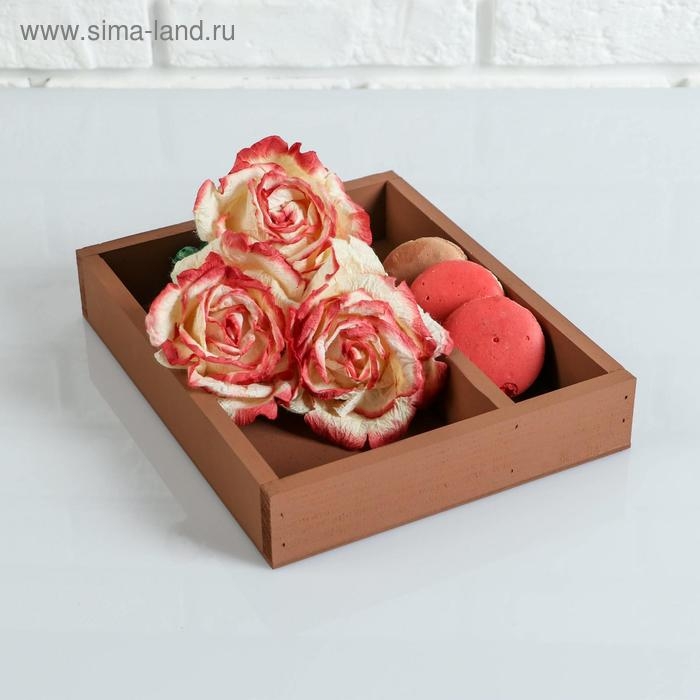 Кашпо деревянное 25.5×20×4.5 см  Кашпо деревянное 25.5×20×4.5 см "Макарунас", коричневый Дарим Красиво