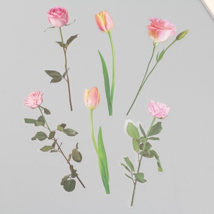 Наклейки пластик Наклейки пластик "Цветы и цитаты. Розовые" набор 12 шт 8,5х21,5х0,2 см