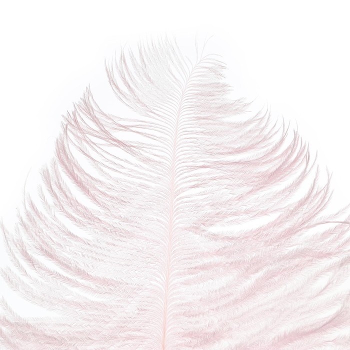 Перо для декора, длина: от 45 до 60 см, цвет розовый