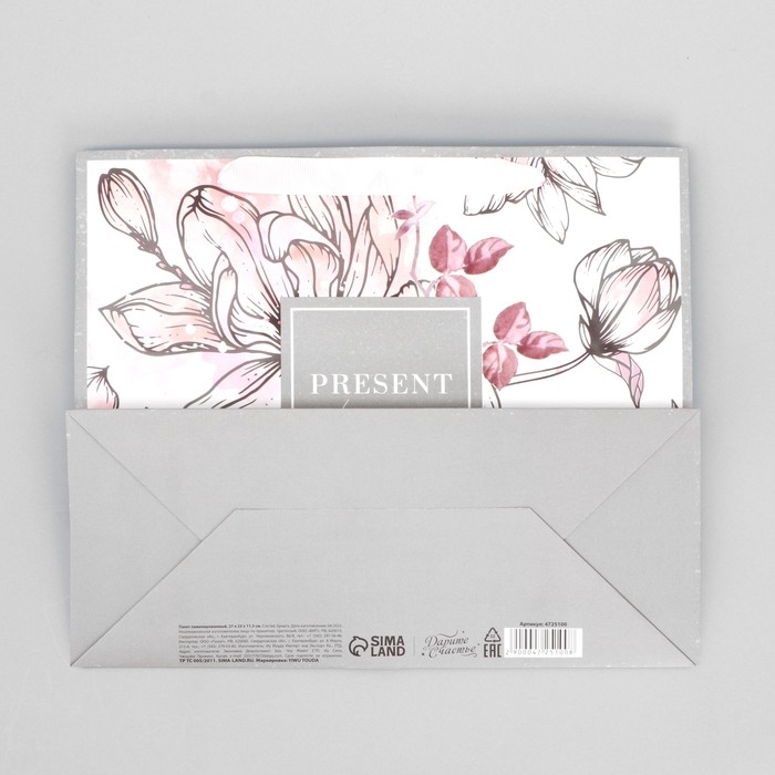 Пакет подарочный ламинированный горизонтальный, упаковка, &laquo;Present for you&raquo;, ML 27 х 23 х 11,5 см