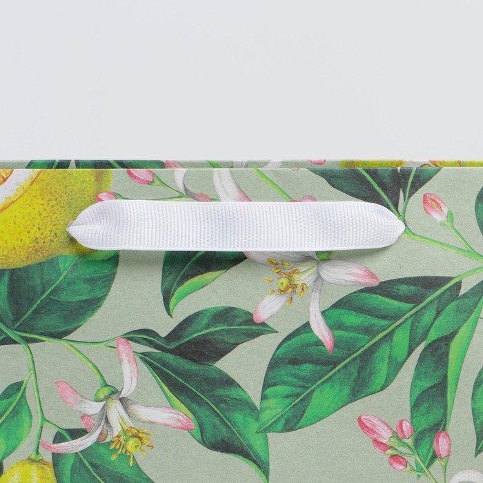 Пакет подарочный крафтовый горизонтальный, упаковка, «Лимончики», M 30 х 26 х 9 см