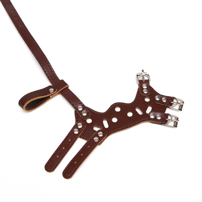 Намордник из прессованной кожи регулируемый, №1, ДН 4,5 см, ОМ 13-20 см, коричневый Намордник из прессованной кожи регулируемый, №1, ДН 4,5 см, ОМ 13-20 см, коричневый