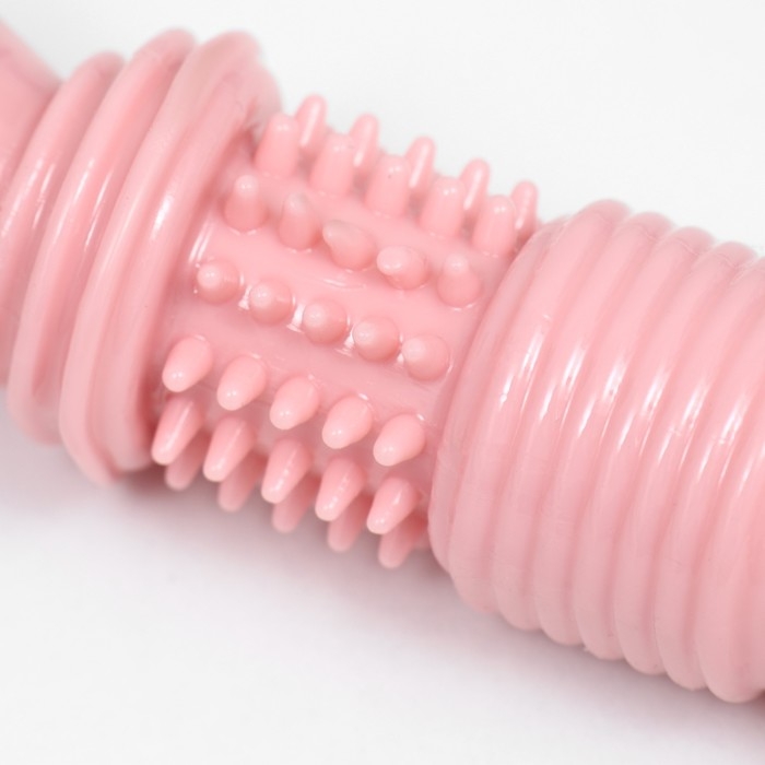 Игрушка для собак Игрушка для собак "Шипастая кость", TPR, массажная,14 х 3,5 х 5, розовая