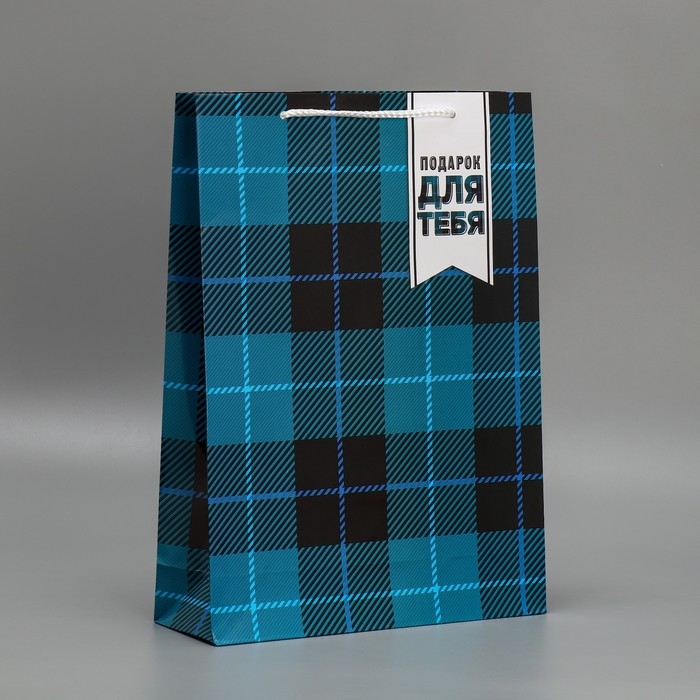 Пакет подарочный ламинированный, упаковка, Real man, L 28 х 38 х 9 см Пакет подарочный ламинированный, упаковка, Real man, L 28 х 38 х 9 см