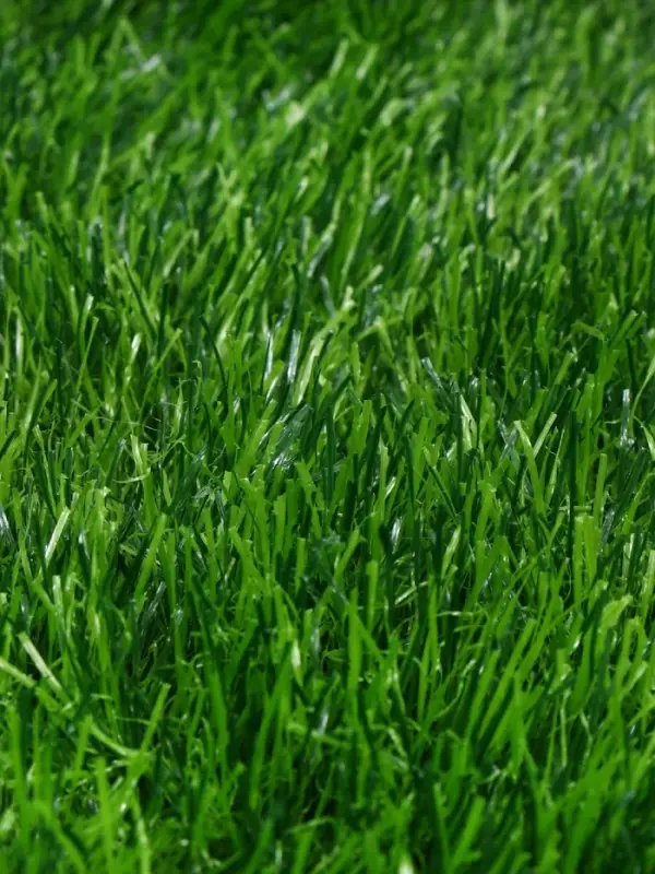 Газон искусственный, для спорта, ворс 50 мм, 1&times;2 м, зелёный, Greengo