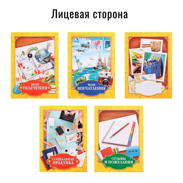 Папка школьная на кольцах &laquo;Портфолио школьника&raquo;, 13 листов-разделителей, 24.5&times;32 см