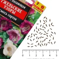 Семена цветов Кобея лазающая &laquo;Гжельские узоры&raquo;, 0.45 г
