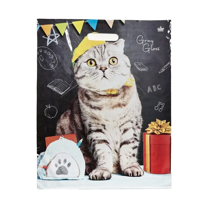 Пакет «Ученый кот», полиэтиленовый с вырубной ручкой, 37.5×47.5 см, 50 мкм