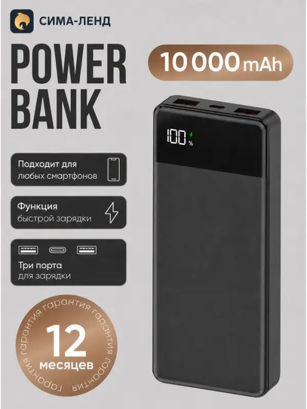 Внешний аккумулятор VIXION PRO VP-06, 10000 мА&middot;ч, USB + Type-C, LED-дисплей, чёрный