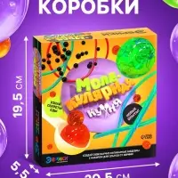 Набор для опытов &laquo;Молекулярная кухня&raquo;, 4 опыта