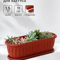 Горшок для кактуса с поддоном &laquo;Фелиция&raquo;, 1.5 л, терракотовый