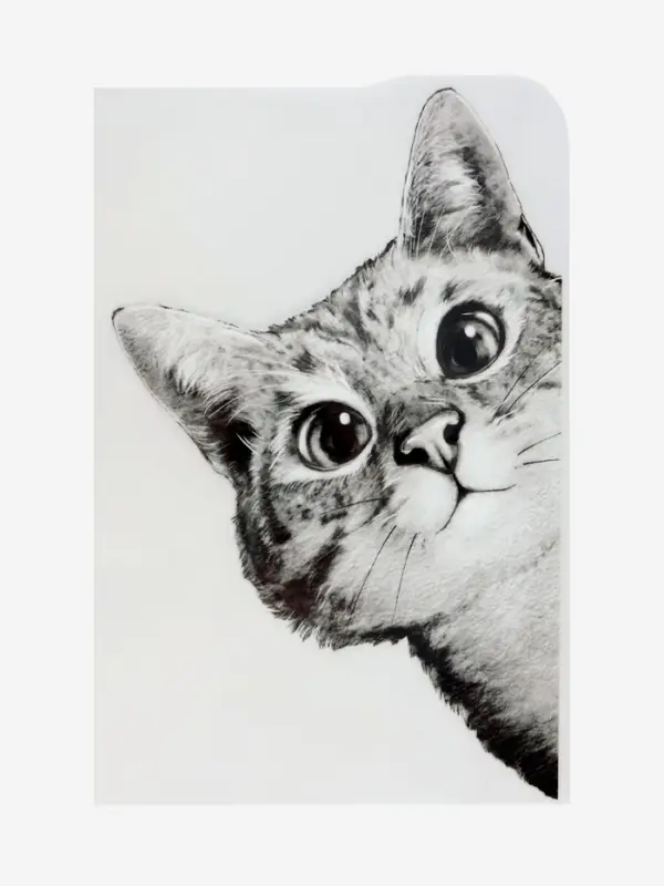 Термонаклейка &laquo;Любопытный кот&raquo;, 14&times;22.3 см