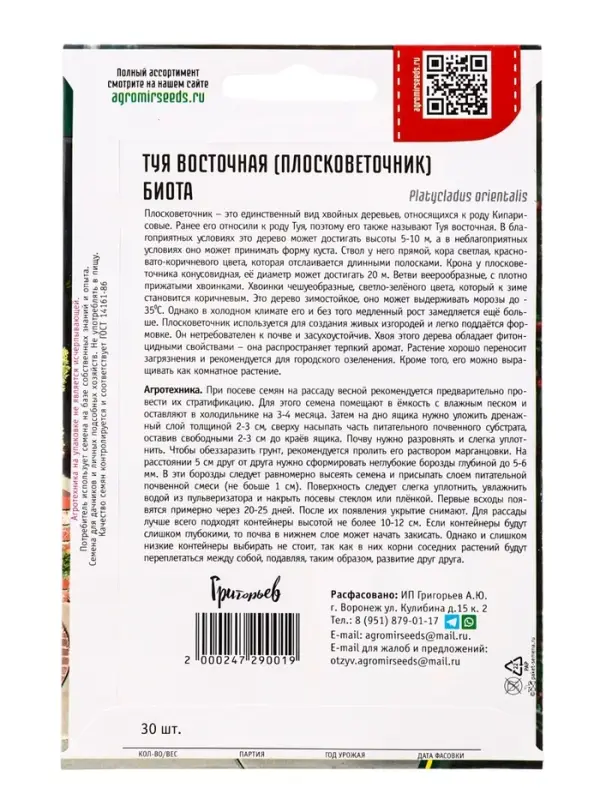 Семена Туя восточная &laquo;Биота&raquo;, 30 шт., &laquo;Григорьев&raquo;