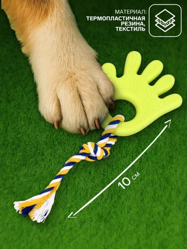 Игрушка жевательная для собак &laquo;Ладошка&raquo;, 10 см, с канатом, салатовая