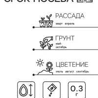 Семена Астра Ковёр Радуга 0.3г*