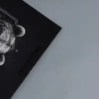 Пакет подарочный "Мужской выбор" ламинированный 26 х 12 х 32 см