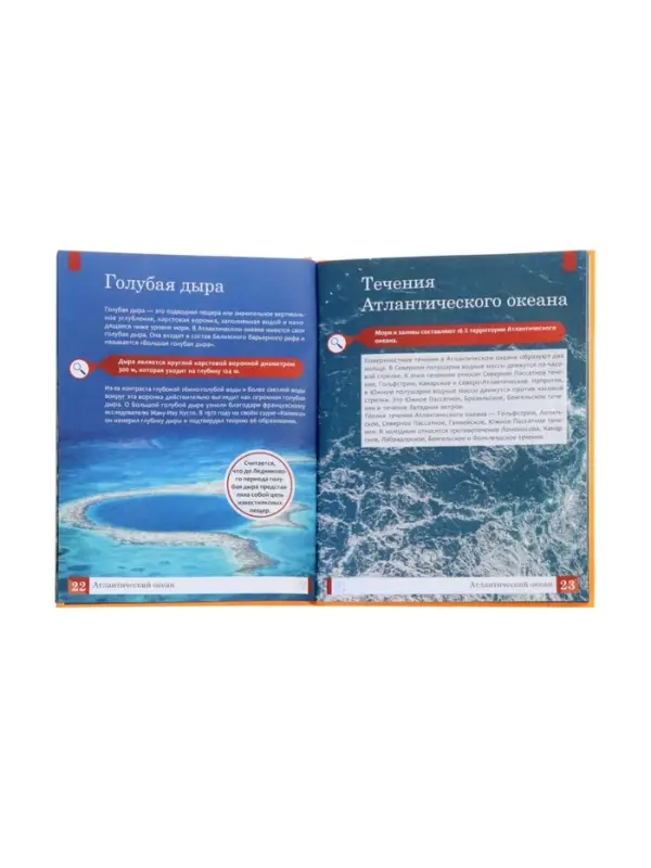 Эциклопедия "Океаны", Ульева Е.А.