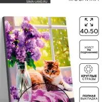 Алмазная вышивка полное заполнение &laquo;Рыжий кот&raquo;, на раме, 40&times;50 см