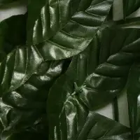 Ограждение декоративное &laquo;Листья удлинённые&raquo;, 300&times;100 см, Greengo