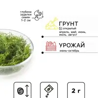 Семена укроп &laquo;Грибовский&raquo;, 2 г