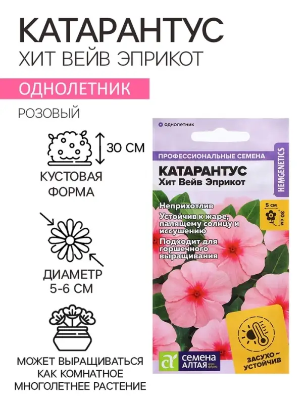 Семена цветов Катарантус &laquo;Хит Вейв Эприкот&raquo;, 5 шт., однолетник, &laquo;Семена Алтая&raquo;