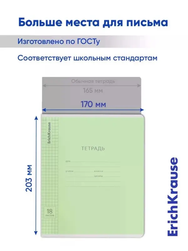 Тетрадь 18 листов в клетку ErichKrause &laquo;Классика&raquo;, обложка мелованный картон, зелёная