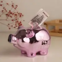 Копилка для денег &laquo;Хрюша в загоне. Не ставь мне рамки. Жизнь без границ&raquo;, керамика, 15.5&times;11.7&times;9.5 см