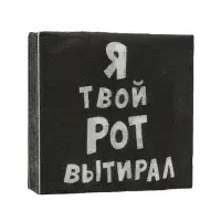 Салфетки бумажные однослойные Гармония цвета «Я твой рот вытирал», 24х24 20 шт. уп