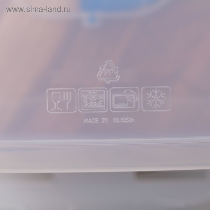 Контейнер пищевой Good & Good, 470 мл, с герметичной крышкой, пластик, крышка голубая Контейнер пищевой Good & Good, 470 мл, с герметичной крышкой, пластик, крышка голубая