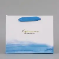 Пакет подарочный ламинированный, упаковка, &laquo;Гармонии&raquo;, 22&times;17.5&times;8 см