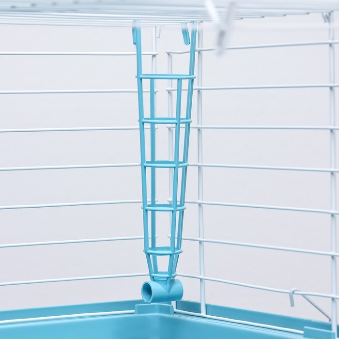 Клетка для грызунов Клетка для грызунов "Пижон" №1 складная, 58 х 40 х 34 см (+миска, 2 кормушки), бирюзовая