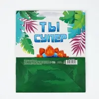Пакет ламинированный &laquo;Ты супер&raquo;, динозавр, ML 23&times;27&times;11.5 см