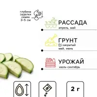 Семена Кабачок &laquo;Якорь&raquo;, 2 г, &laquo;Семена Алтая&raquo;