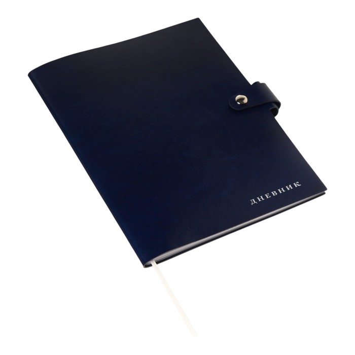 Дневник универсальный для 1-11 класса Favorite, мягкая обложка, на кнопке, искусственная кожа, тиснение фольгой, хлястик, ляссе, 48 листов