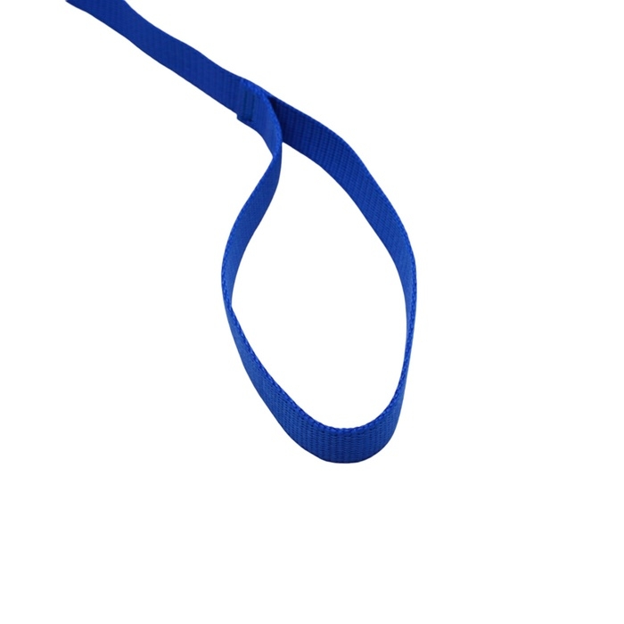Поводок 1,2 х 2 см, полиэстер, синий Поводок 1,2 х 2 см, полиэстер, синий