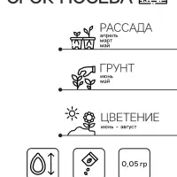 Семена Дельфиниум «Белый», цветной пакет, 0.05 г Семена Дельфиниум «Белый», цветной пакет, 0.05 г